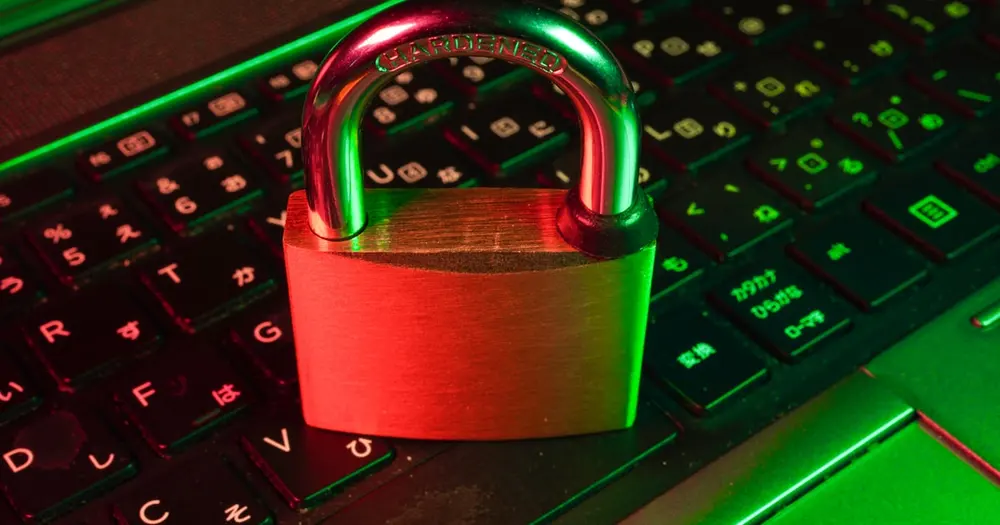 Уязвимости в плагинах WordPress: почему это системный риск, а не вопрос обновлений